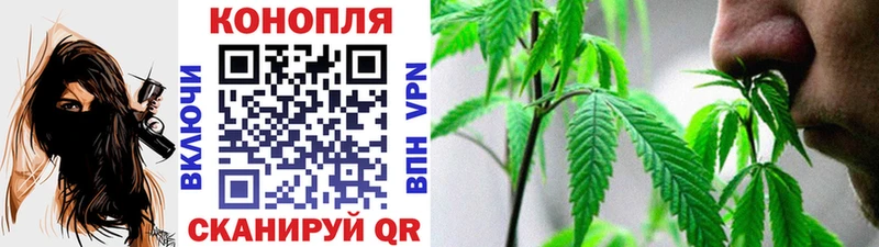 купить  сайты  это клад  Бошки марихуана индика  Починок 